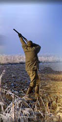 Consultancy